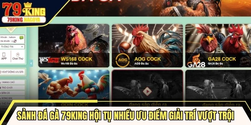 Sảnh đá gà 79KING hội tụ nhiều ưu điểm giải trí vượt trội