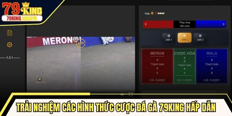 Trải nghiệm các hình thức cược đá gà 79KING vô cùng hấp dẫn